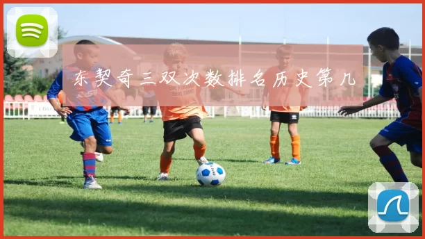 东契奇三双次数排名历史第几