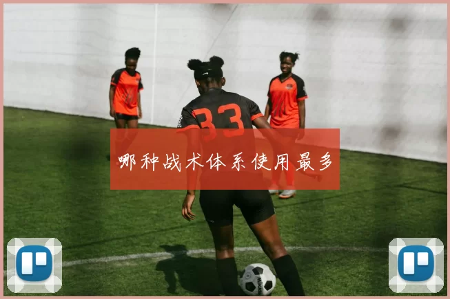 哪种战术体系使用最多